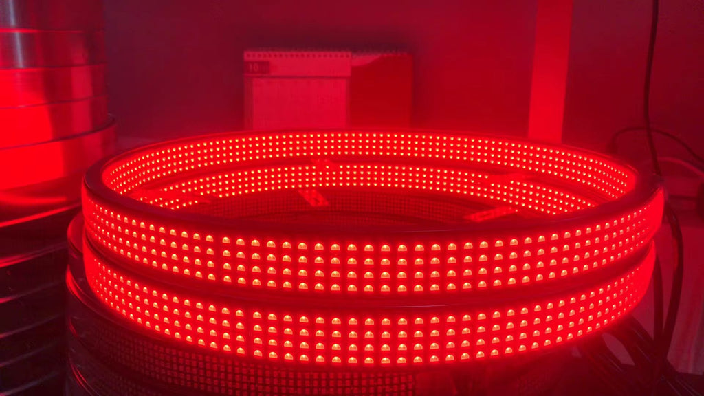 8 Row High Intensity RGBW Wheel Lights